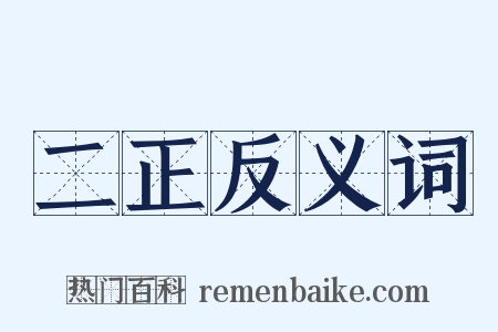二正反义词是什么意思的图片